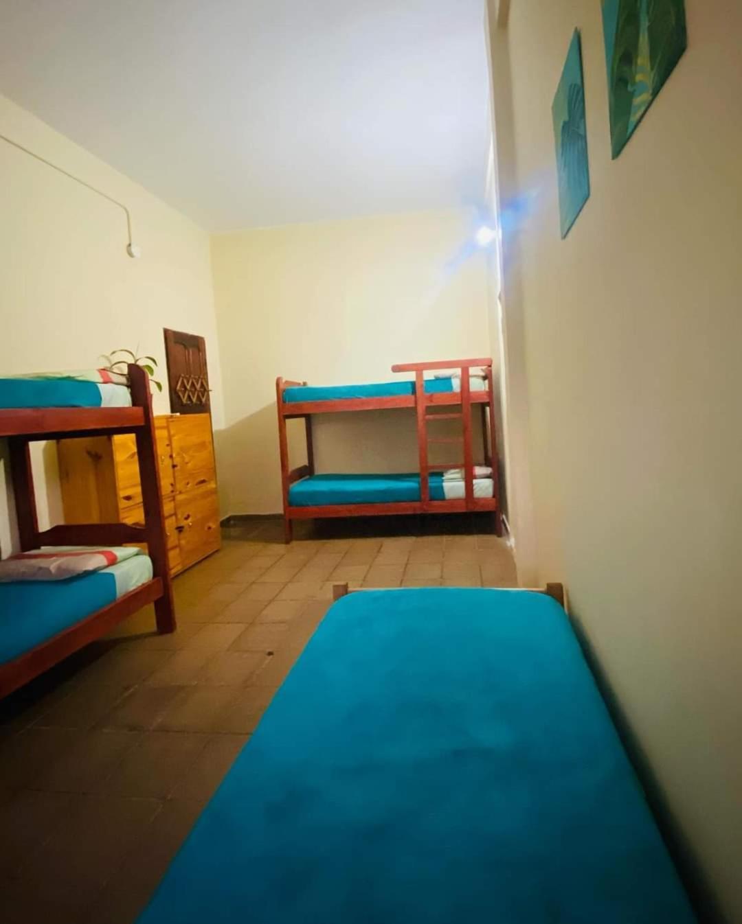 Benteveo Hostel Iguazu ปูแอร์โตอีกวาซู ภายนอก รูปภาพ