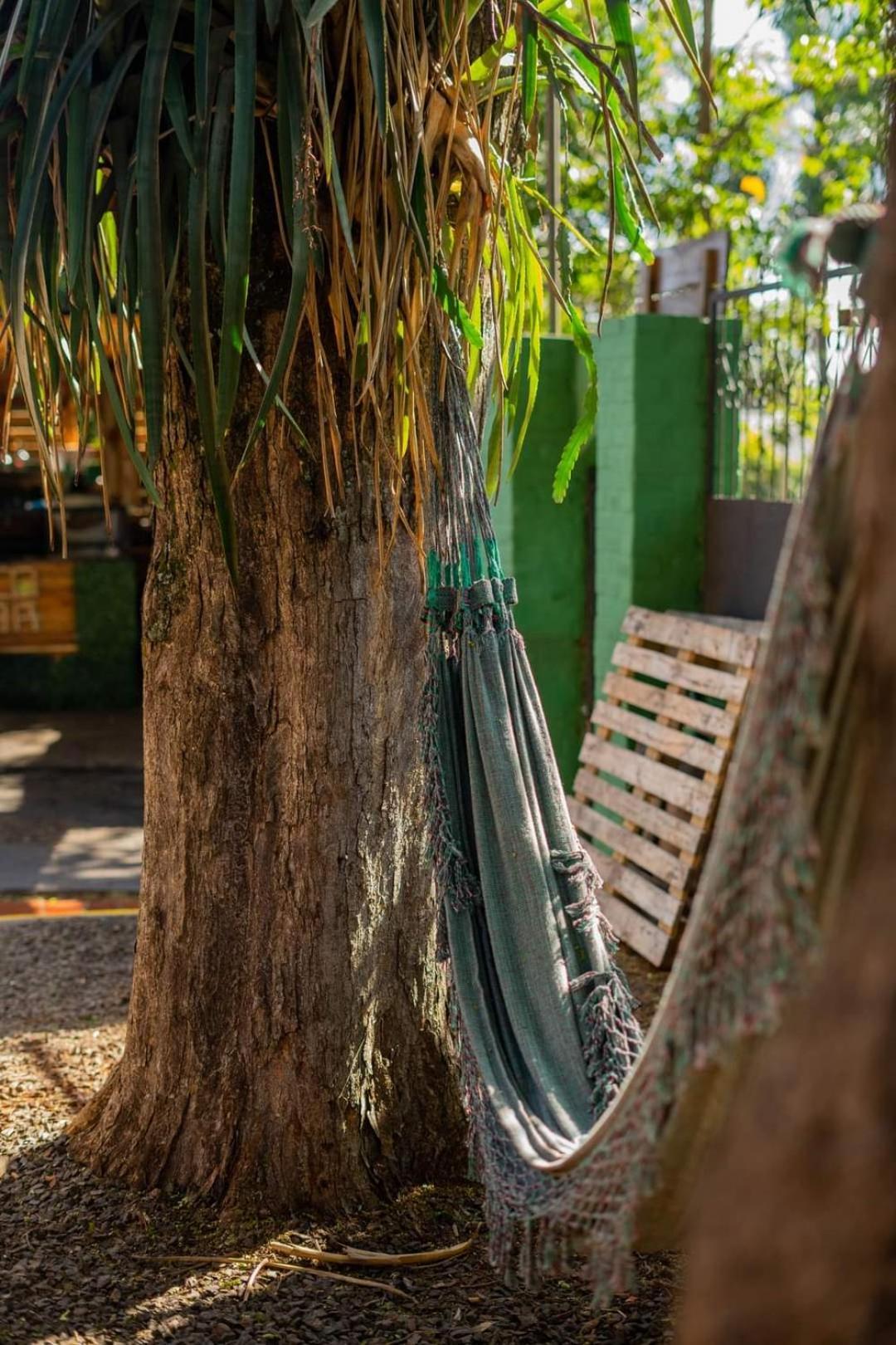 Benteveo Hostel Iguazu ปูแอร์โตอีกวาซู ภายนอก รูปภาพ